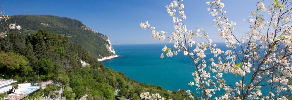 last minute hotel palace ancona conero