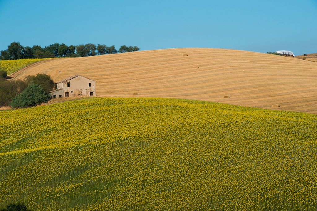 Le Marche: il distillato d’Italia e la regione plurale.