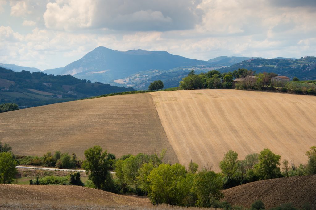 UMANI RONCHI Zona Monteschiavo Majolati Spontini 016