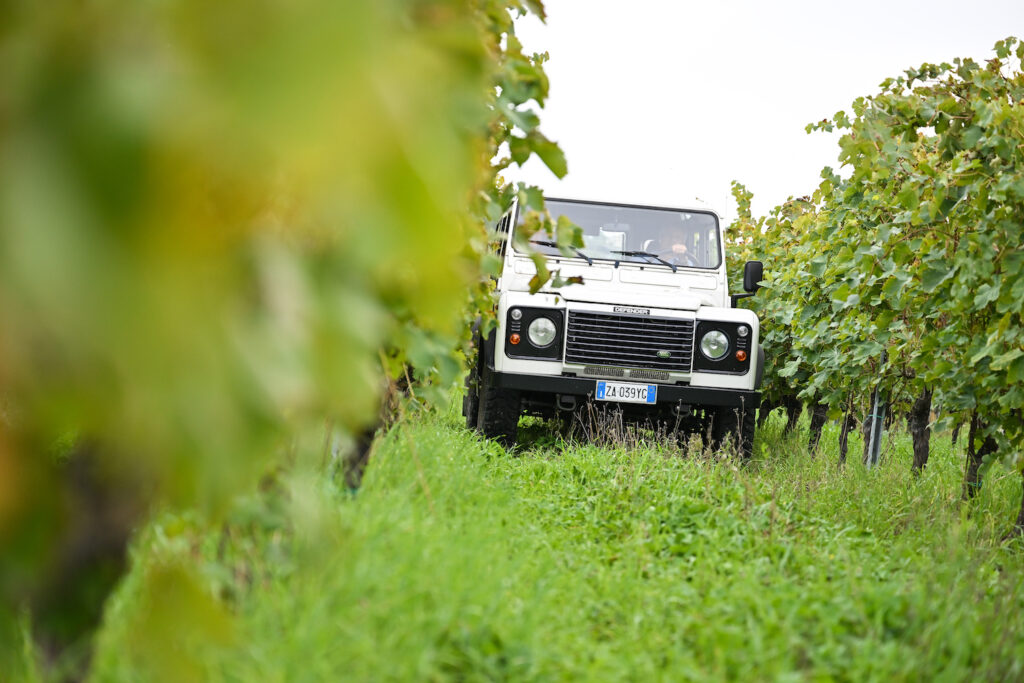 Safari tour tra i vigneti della Cantina Umani Ronchi!