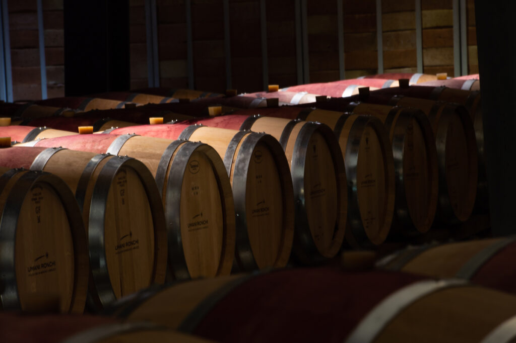 Wine Weekend e visita alla Cantina Umani Ronchi “Migliore Cantina d’Italia 2024” by Gambero Rosso.
